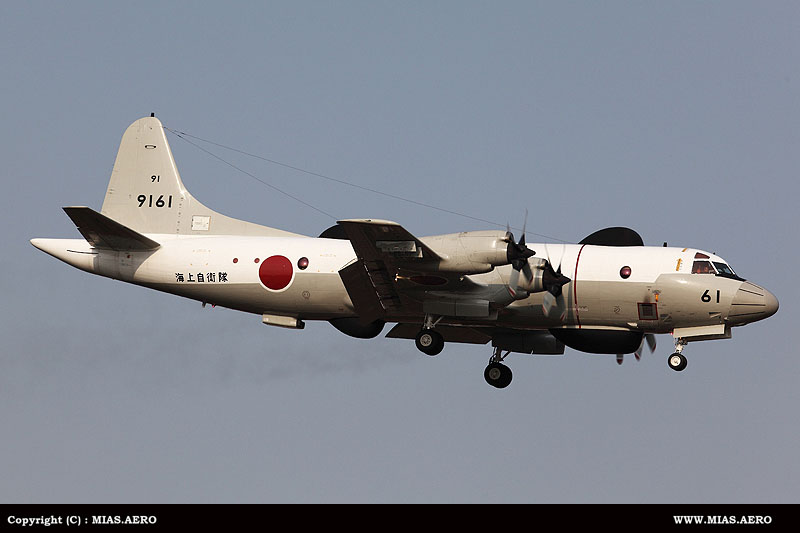 Japanese Air Force, Army & Navy